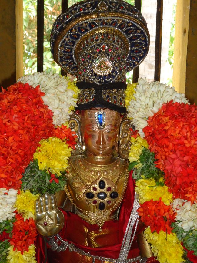 Anbil Sri Sundararaja Perumal Temple Masi garuda Sevai Thirumanjanam 2015 -23