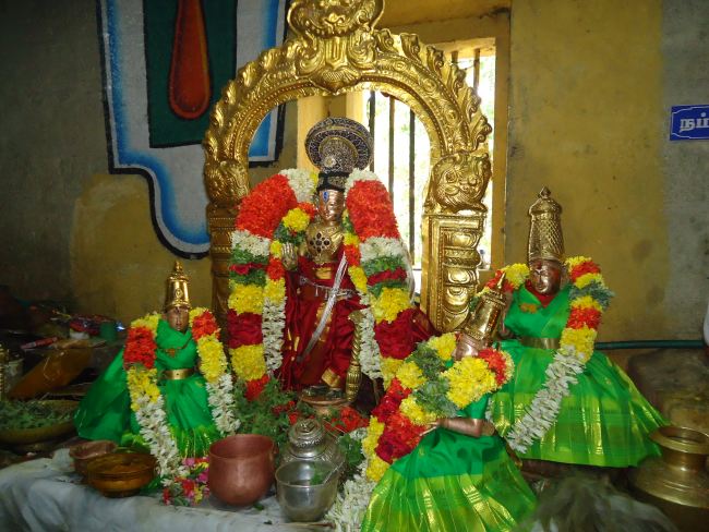 Anbil Sri Sundararaja Perumal Temple Masi garuda Sevai Thirumanjanam 2015 -28