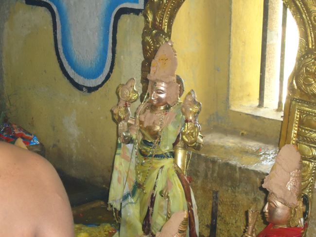 Anbil Sri Sundararaja Perumal Temple Masi garuda Sevai Thirumanjanam 2015 -32