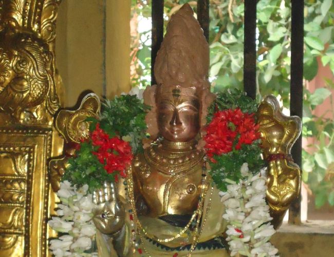 Anbil Sri Sundararaja Perumal Temple Masi garuda Sevai Thirumanjanam 2015 -36