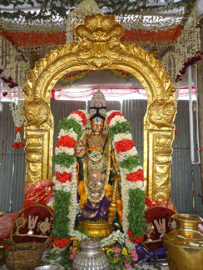 Anbil Sri Sundararaja Perumal Theerthavari  at Srirangam 2015 -08