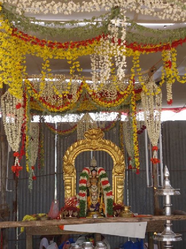 Anbil Sri Sundararaja Perumal Theerthavari  at Srirangam 2015 -14