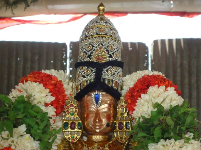 Anbil Sri Sundararaja Perumal Theerthavari  at Srirangam 2015 -15
