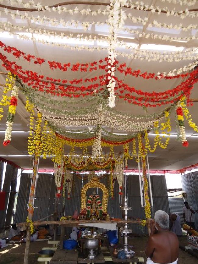 Anbil Sri Sundararaja Perumal Theerthavari  at Srirangam 2015 -16