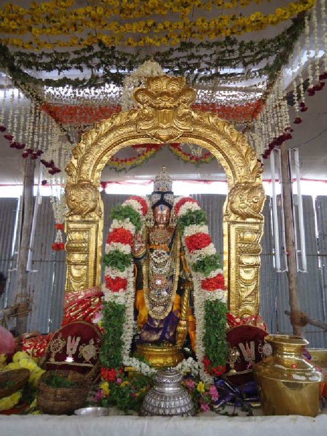 Anbil Sri Sundararaja Perumal Theerthavari  at Srirangam 2015 -18