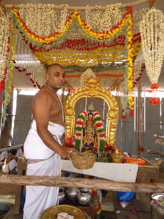 Anbil Sri Sundararaja Perumal Theerthavari  at Srirangam 2015 -23