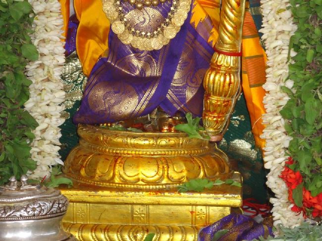 Anbil Sri Sundararaja Perumal Theerthavari  at Srirangam 2015 -27