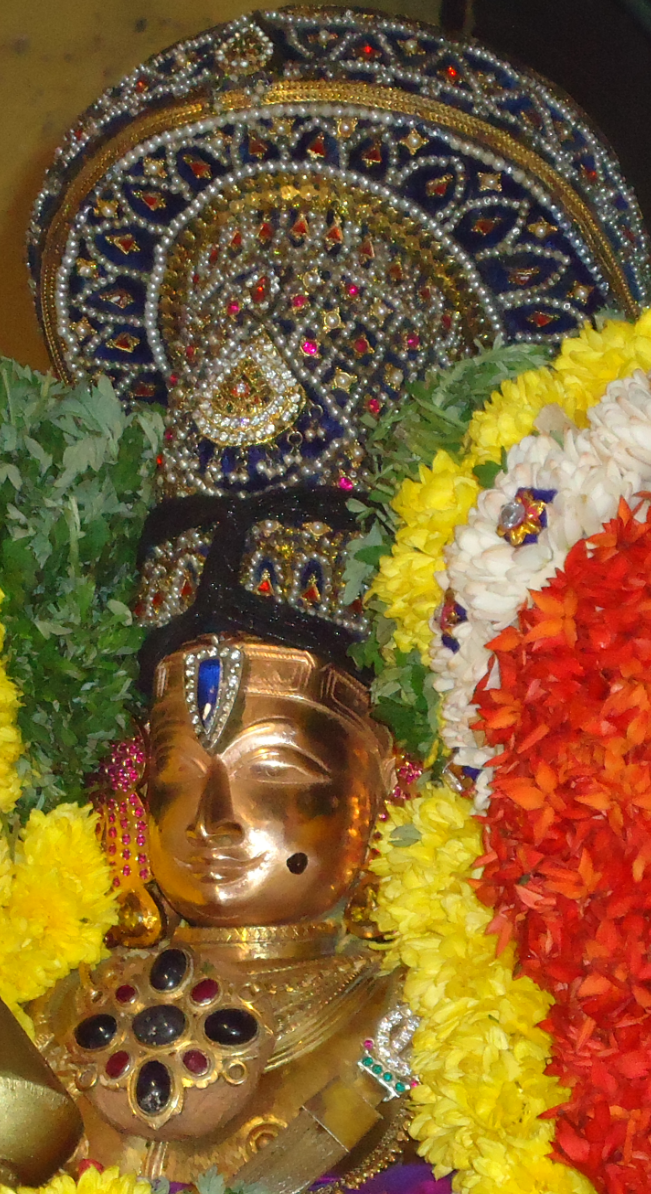 Anbil Sundararaja Perumal Temple Masi garuda Sevai 2015 -02