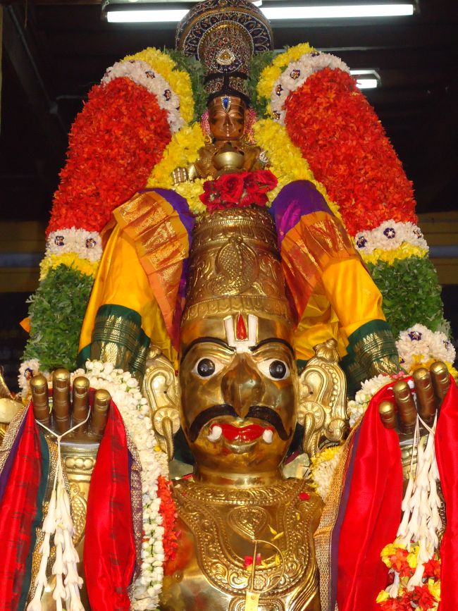 Anbil Sundararaja Perumal Temple Masi garuda Sevai 2015 -03