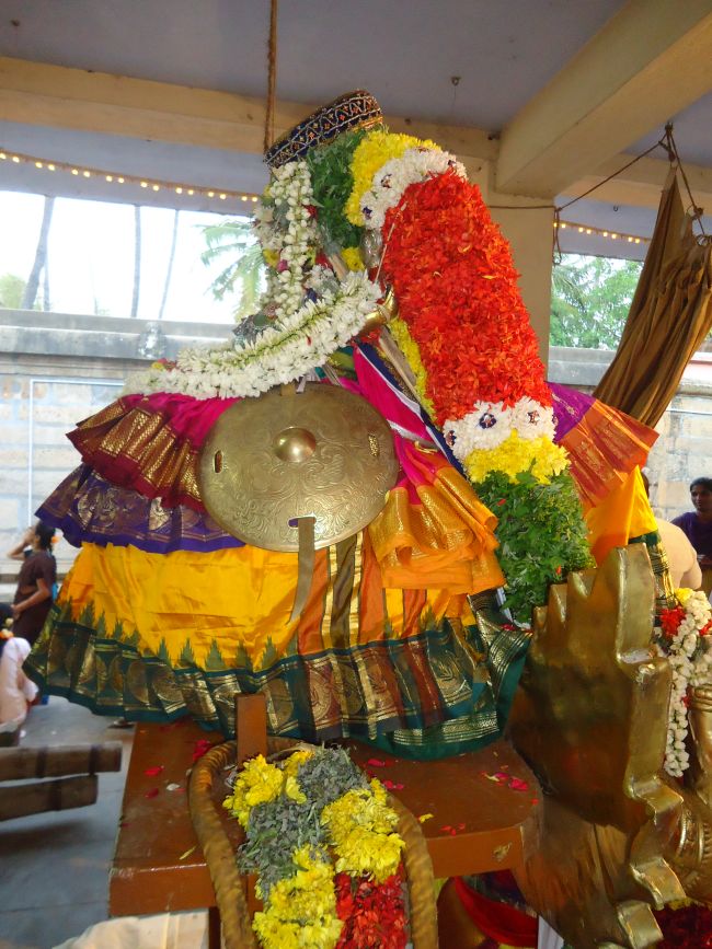 Anbil Sundararaja Perumal Temple Masi garuda Sevai 2015 -06