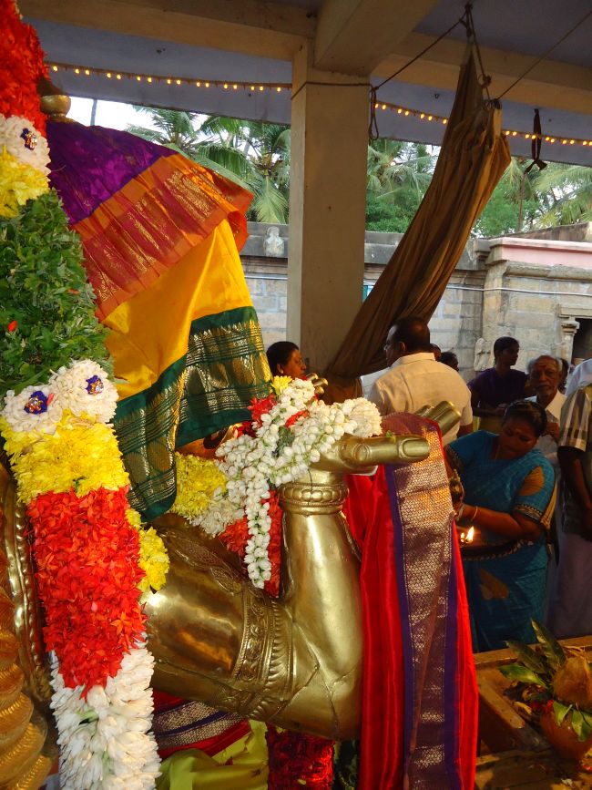 Anbil Sundararaja Perumal Temple Masi garuda Sevai 2015 -07