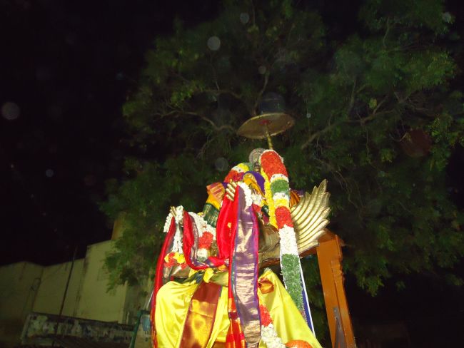 Anbil Sundararaja Perumal Temple Masi garuda Sevai 2015 -31