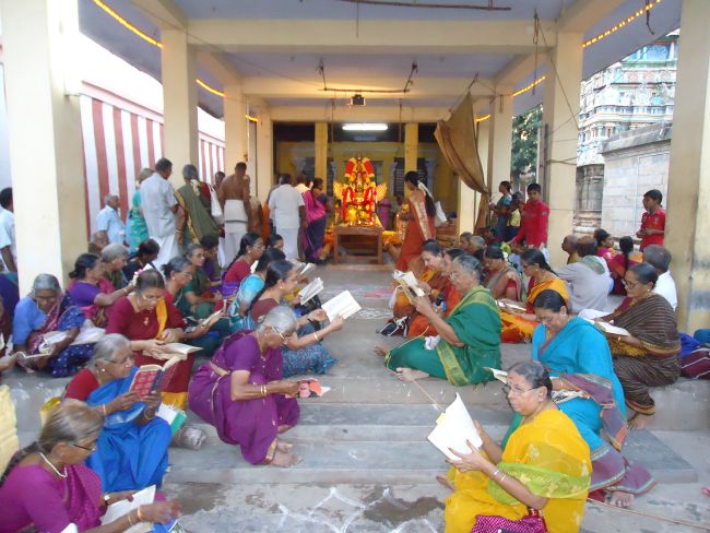 Anbil Sundararaja Perumal Temple Masi garuda Sevai 2015 -49