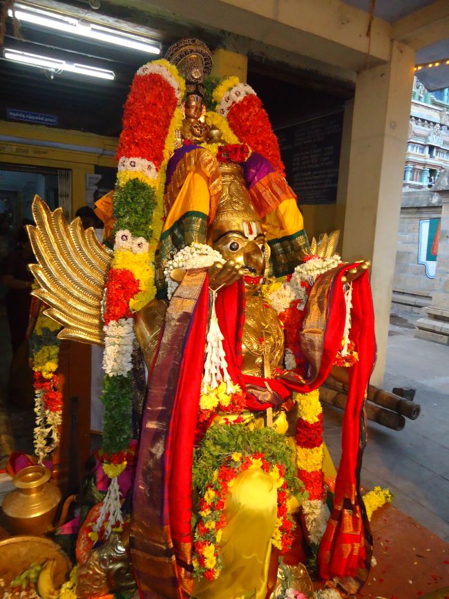 Anbil Sundararaja Perumal Temple Masi garuda Sevai 2015 -53