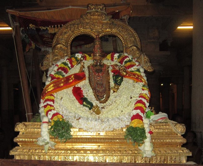 Azhwar Thirunagari Swami Namazhwar Masi Visakam Mahothsavam17