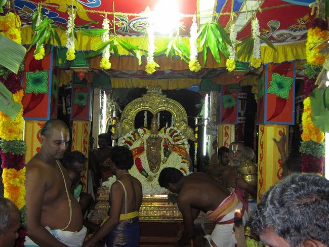 Azhwar Thirunagari Swami Namazhwar Masi Visakam Mahothsavam20