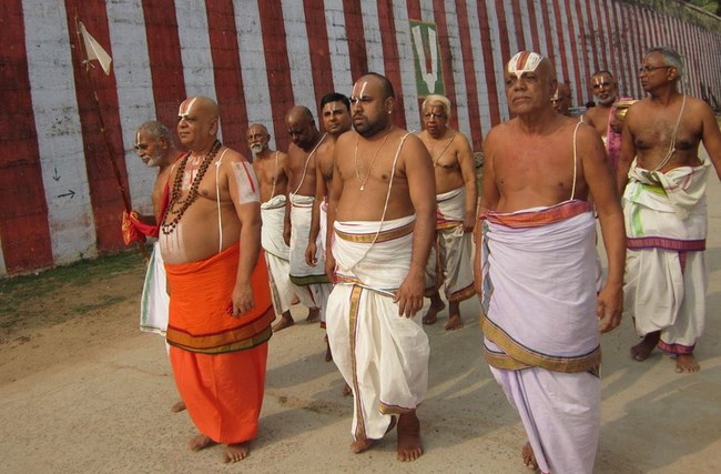 Azhwar Thirunagari Swami Namazhwar Masi Visakam Mahothsavam24