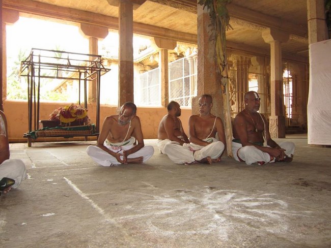 Azhwar Thirunagari Swami Namazhwar Masi Visakam Mahothsavam26