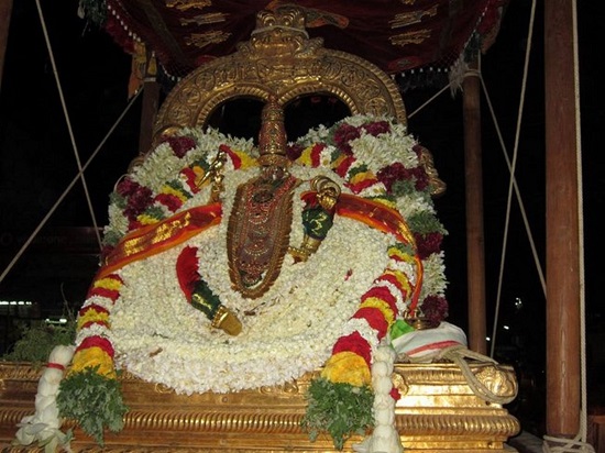 Azhwar Thirunagari Swami Namazhwar Masi Visakam Mahothsavam36