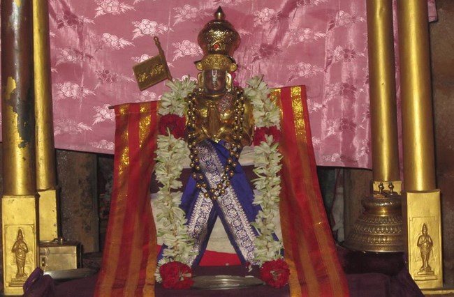 Azhwar Thirunagari Swami Namazhwar Masi Visakam Mahothsavam54