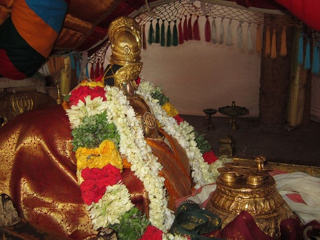 Azhwar Thirunagari Swami Namazhwar Masi Visakam Mahothsavam56