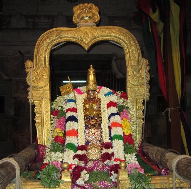 Azhwar Thirunagari Swami Namazhwar Masi Visakam Mahothsavam6