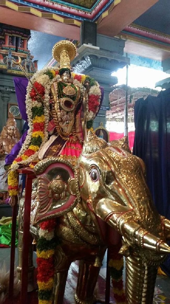 Dalmiapuram Sri Kothandaramar Temple Ekadhina Brahmotsavam 2015 -01