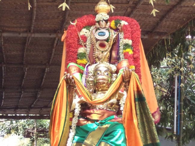 Dalmiapuram Sri Kothandaramar Temple Ekadhina Brahmotsavam 2015 -02