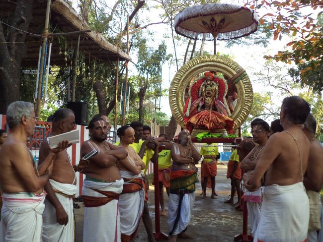 Dalmiapuram Sri Kothandaramar Temple Ekadhina Brahmotsavam 2015 -14