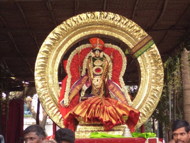 Dalmiapuram Sri Kothandaramar Temple Ekadhina Brahmotsavam 2015 -18