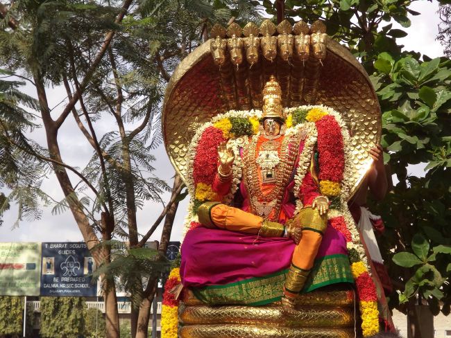 Dalmiapuram Sri Kothandaramar Temple Ekadhina Brahmotsavam 2015 -21