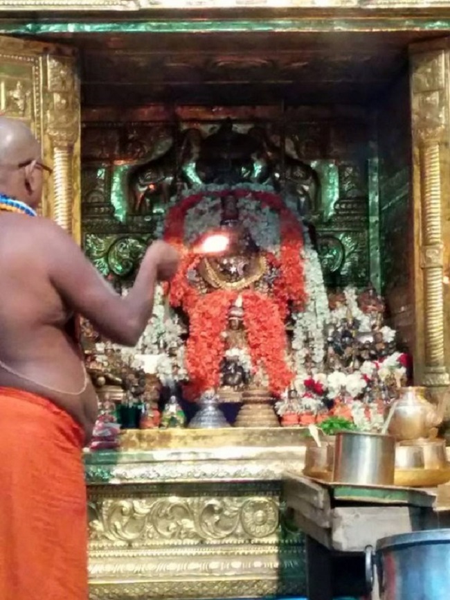 HH 46th Srimath Azhagiyasingar Vijaya Yathirai To Tirumala22