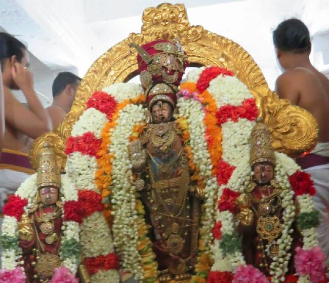 Kanchi Devaperumal Rajakula  Theppotsavam 2015 -20