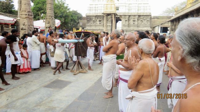 Kanchi Devaperumal Thirumbukal From Thenneri Theppotsavam 2015 -15