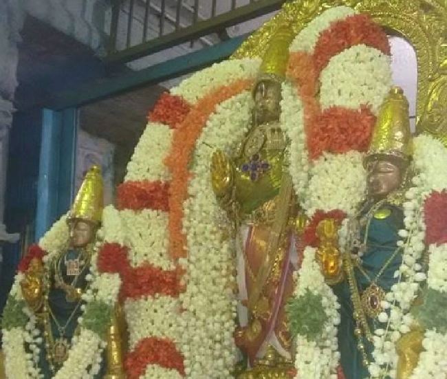 Kanchi Sri Devaperumal Panguni Krishna Ekadasi Purappadu  2015 -01