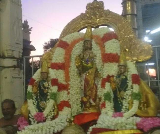Kanchi Sri Devaperumal Panguni Krishna Ekadasi Purappadu  2015 -02