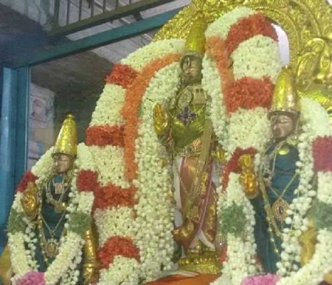 Kanchi Sri Devaperumal Panguni Krishna Ekadasi Purappadu  2015 -04