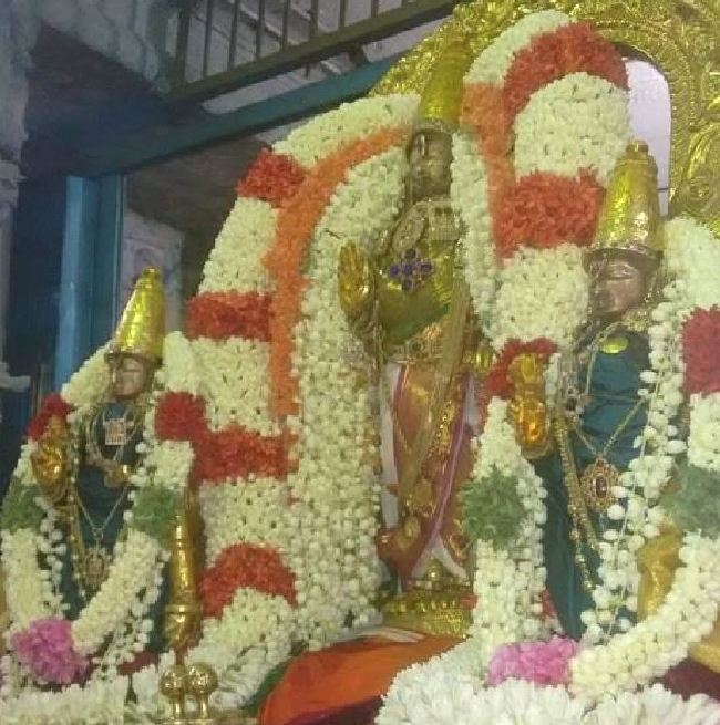 Kanchi Sri Devaperumal Panguni Krishna Ekadasi Purappadu  2015 -05