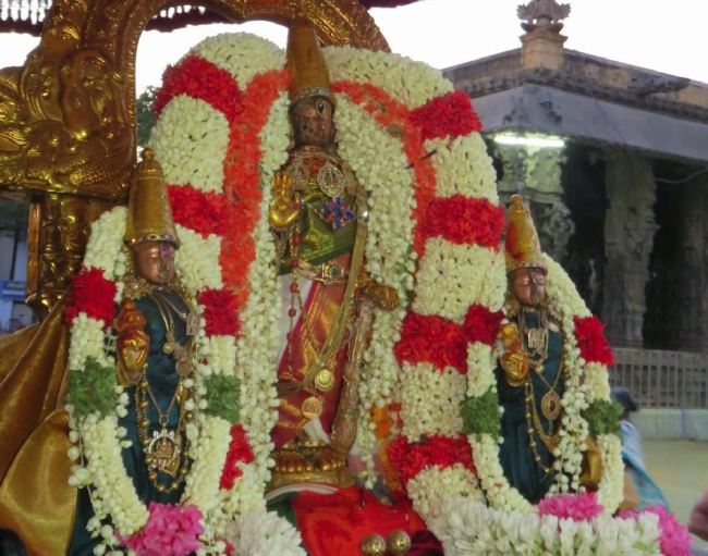 Kanchi Sri Devaperumal Panguni Krishna Ekadasi Purappadu  2015 -13