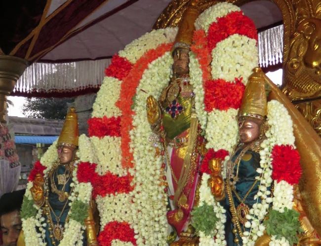 Kanchi Sri Devaperumal Panguni Krishna Ekadasi Purappadu  2015 -20