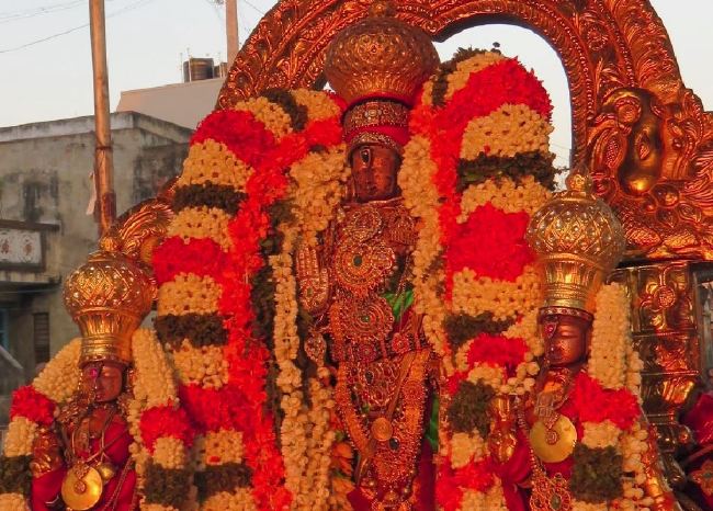 Kanchi Sri Devaperumal Panguni Sravana Purappadu  2015 -21