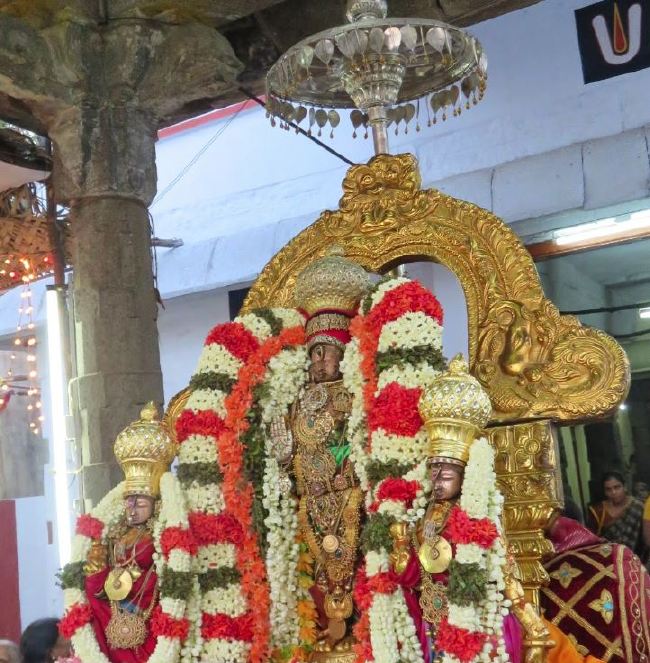Kanchi Sri Devaperumal Panguni Sravana Purappadu  2015 -24