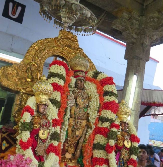 Kanchi Sri Devaperumal Panguni Sravana Purappadu  2015 -25