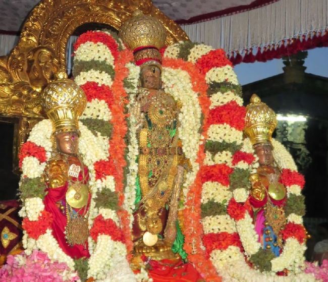 Kanchi Sri Devaperumal Panguni Sravana Purappadu  2015 -30