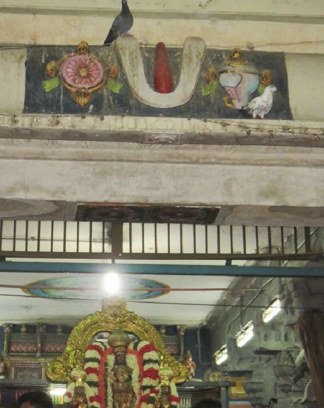 Kanchi Sri Devaperumal Panguni Sravana Purappadu  2015 -37