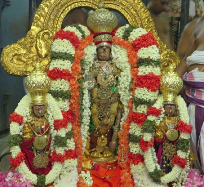 Kanchi Sri Devaperumal Panguni Sravana Purappadu  2015 -38