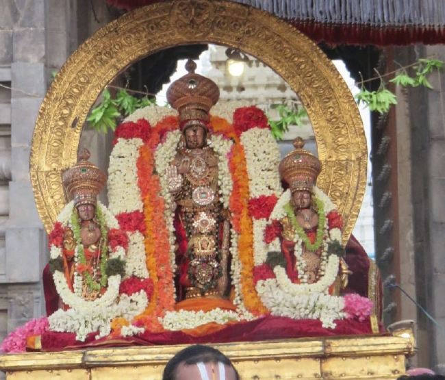 Kanchi Sri Devaperumal Temple Udayarapalayam Utsavam 2015 -05