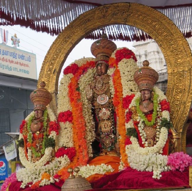 Kanchi Sri Devaperumal Temple Udayarapalayam Utsavam 2015 -06