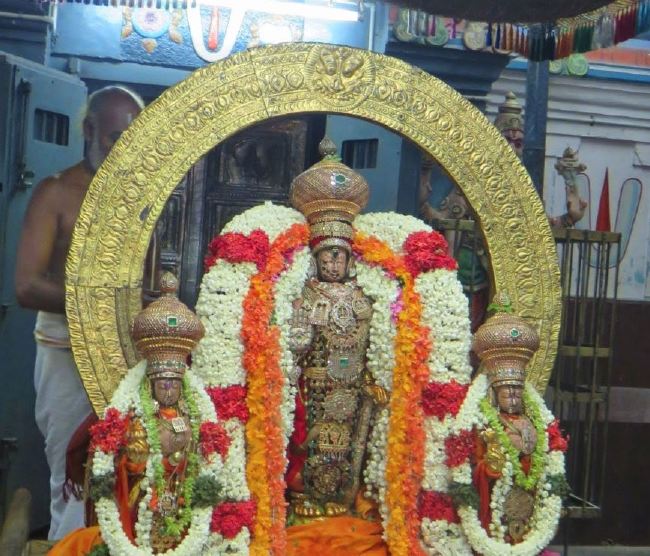 Kanchi Sri Devaperumal Temple Udayarapalayam Utsavam 2015 -43