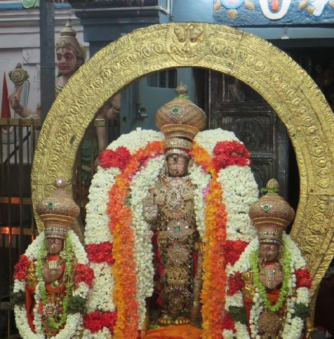 Kanchi Sri Devaperumal Temple Udayarapalayam Utsavam 2015 -45